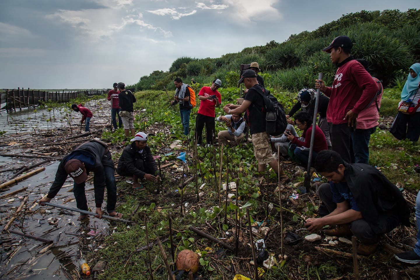 Journalists visited the mangrove conservation on Baros village, Bantul regency, Yogyakarta. Image: Flickr