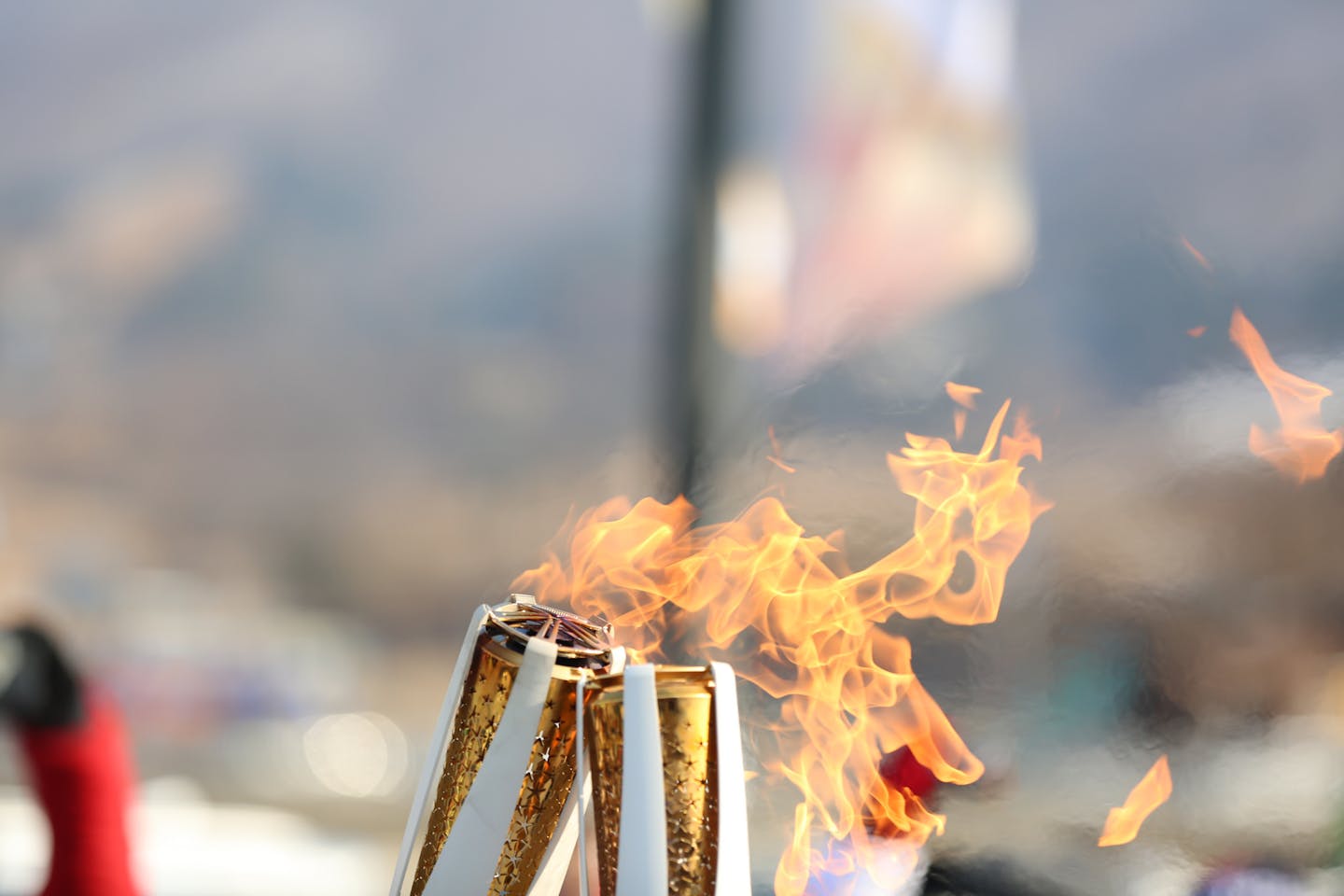 pyeongchang olympics