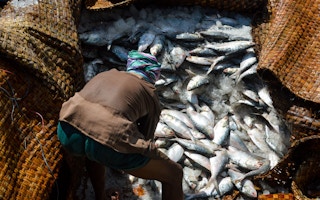 Bangladesh fishing