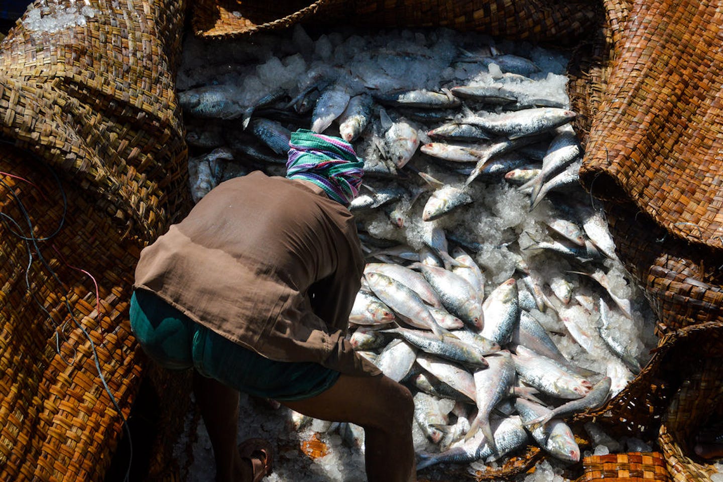 Bangladesh fishing