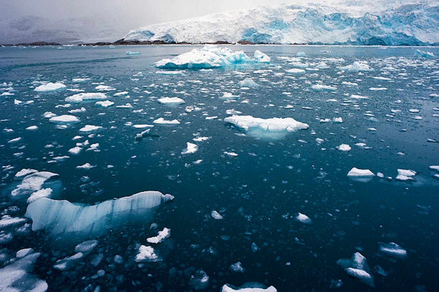 arctic sea ice melt