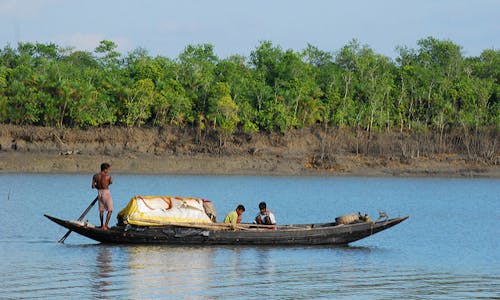 Al Gore and Bangladesh PM spar over coal plants in the Sundarbans