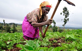 Farmer, Kenya