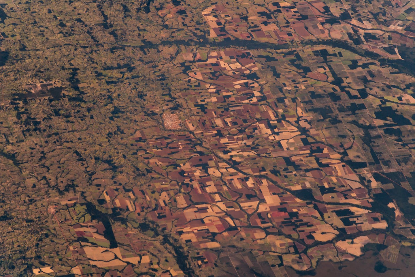 What is left of the Amazon