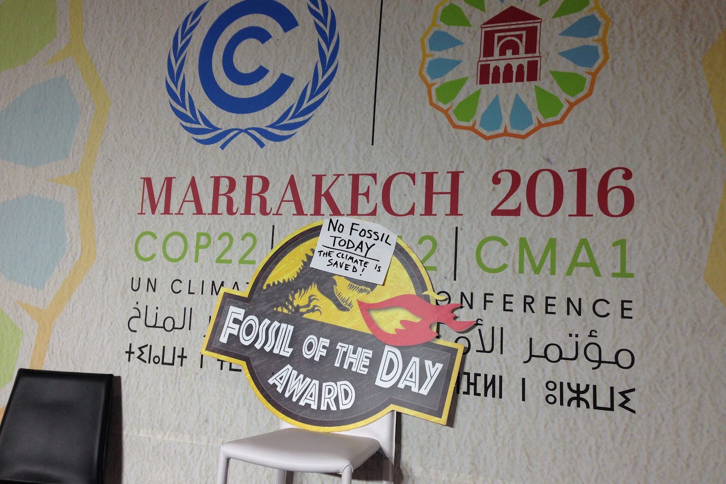 fossil of the day marrakesh