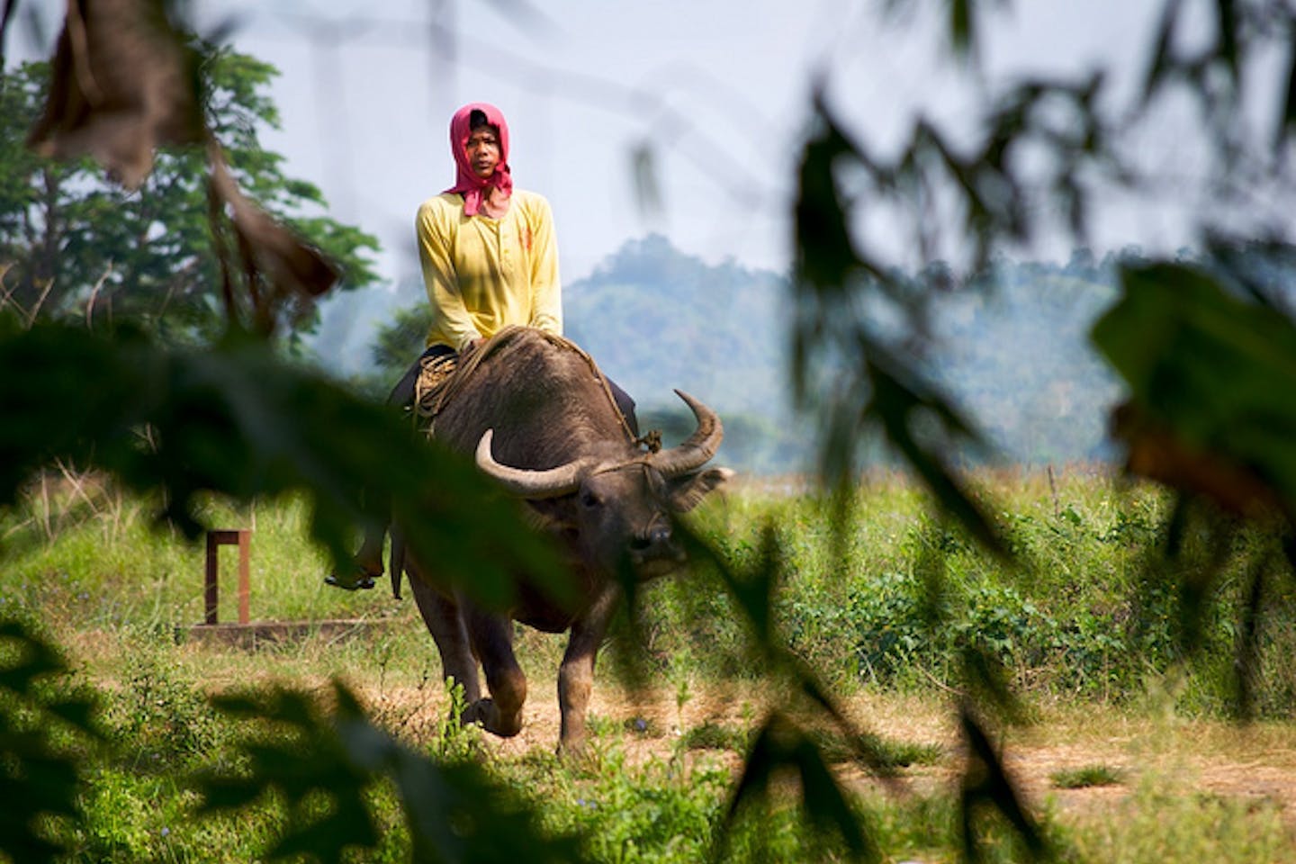 Filipino farmer