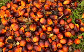 palm oil fuits