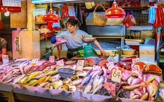 HK fish vendor
