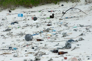 hawaii beach plastic litter