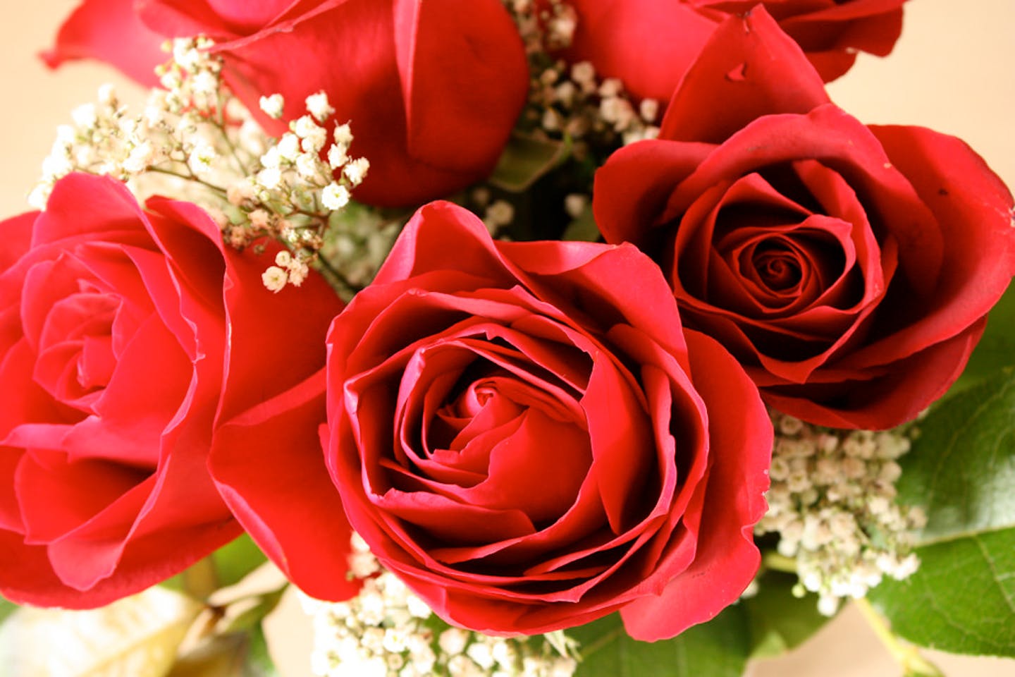 A bouquet of roses