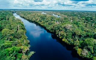 scenic Amazon