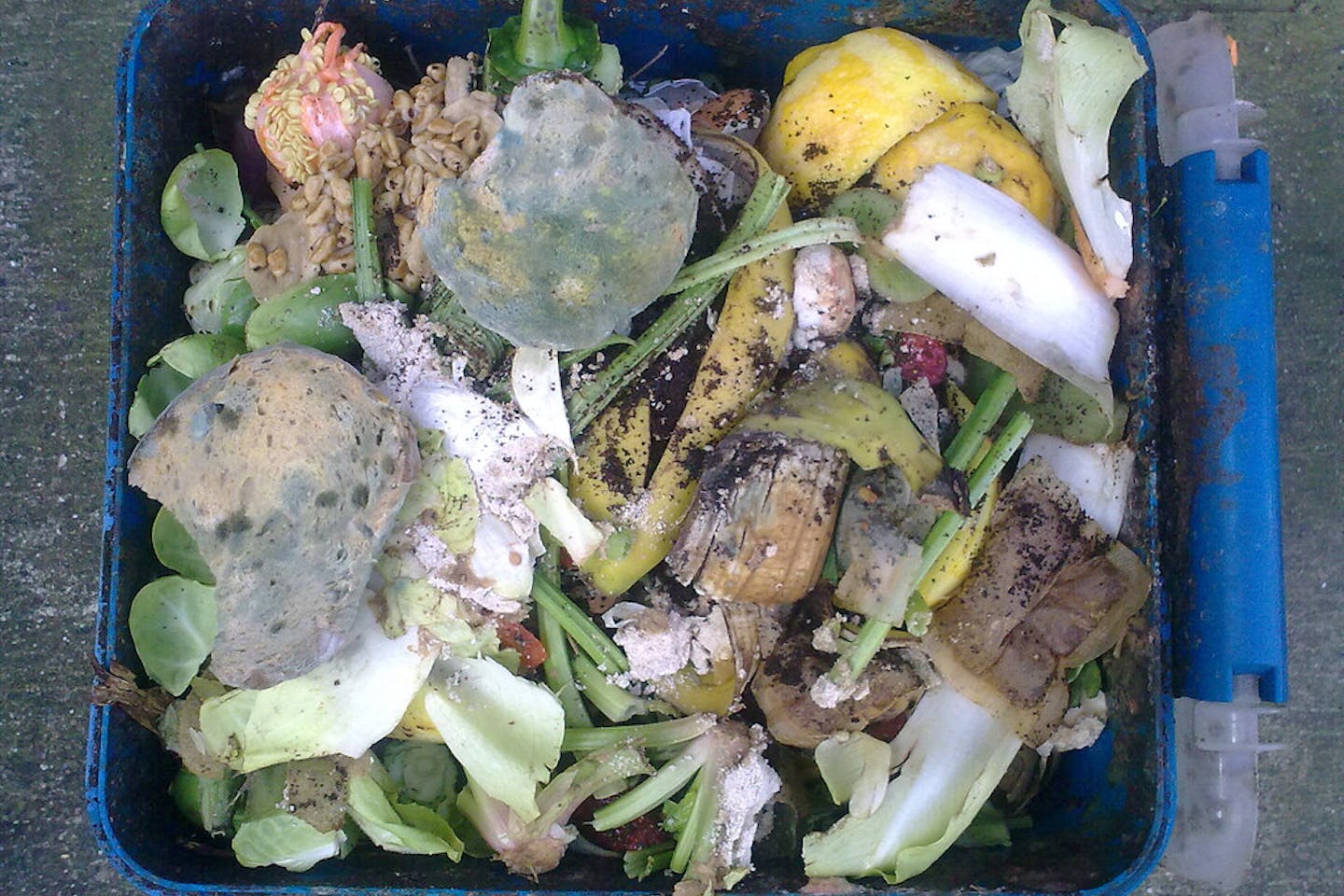 food waste bin