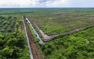 drainage canals in palm oil plantation, dompas riau
