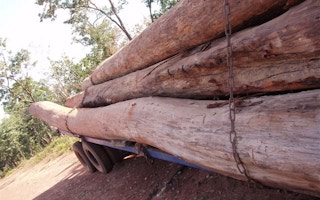 timber laos 