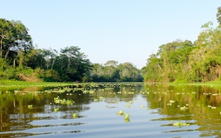 Amazon Rainforest in Peru