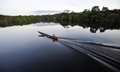 The bleak fate of the Amazon