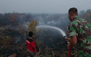 military puts out peat fires