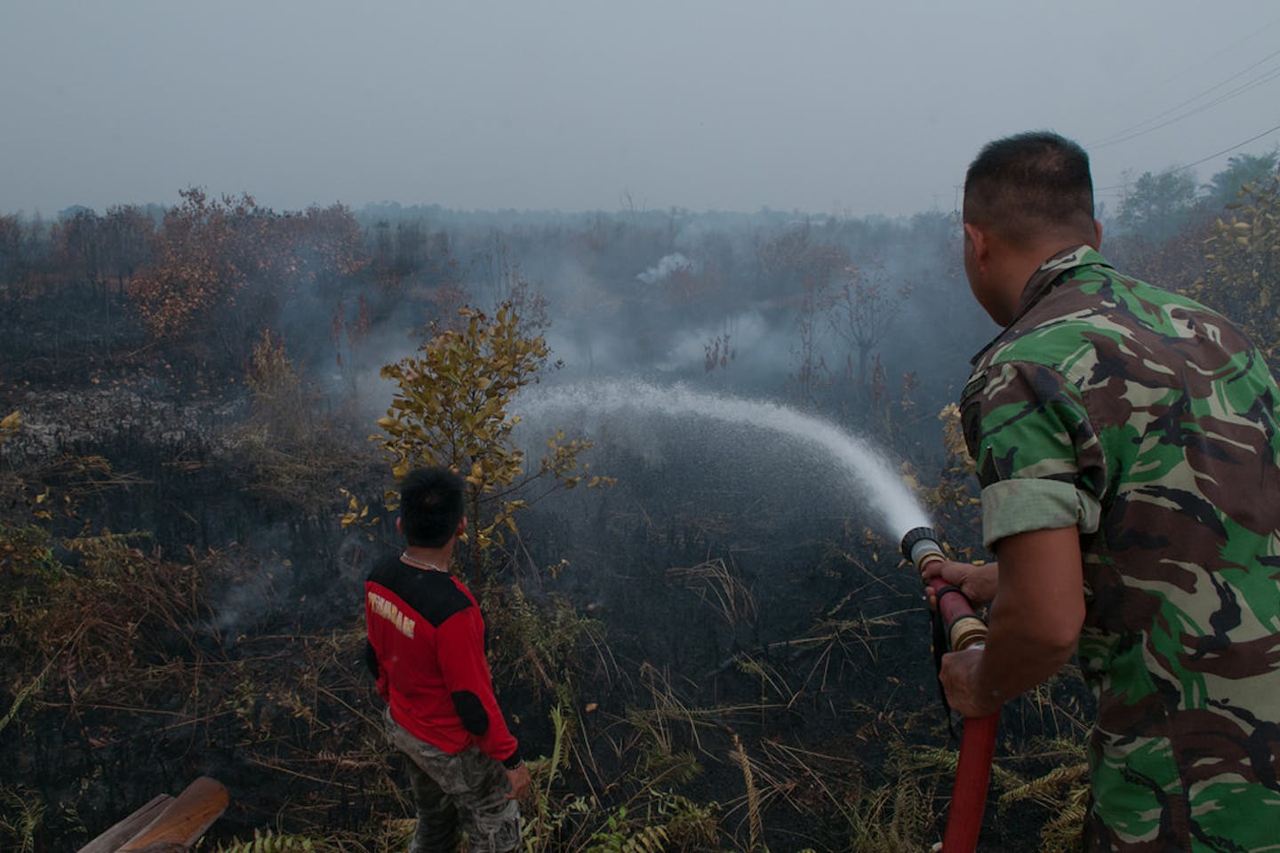 military puts out peat fires