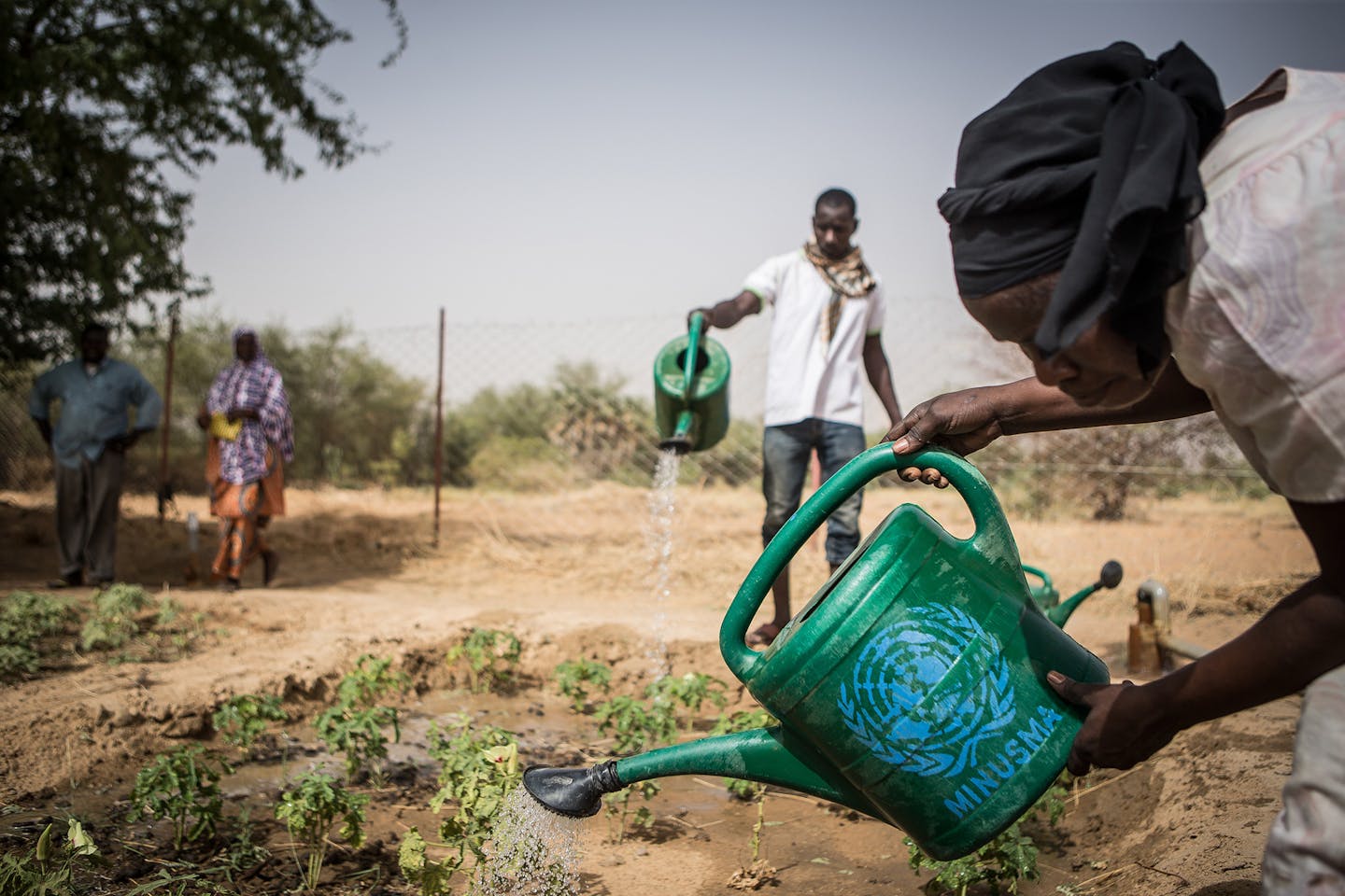 Mali farmers