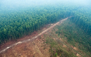 Riau Indonesia Forest Fire