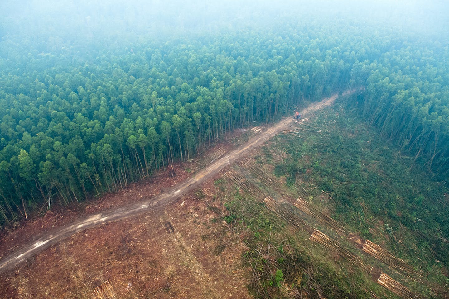 Riau Indonesia Forest Fire