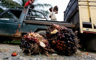 Workers load a truck with palm fruit at a palm oil plantaion in Nagan raya, Aceh province, Indonesia