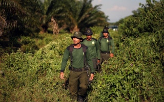 Indonesian rangers patrol Tripa 