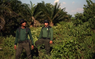 indonesian forest rangers palm oil