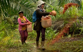 women palm oil 