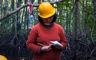 woman scientist forest indonesia
