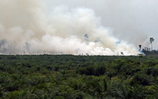 billowing smoke from peat swamp