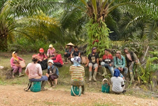 oil palm plantation workers take a rest from work