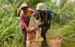women workers palm oil