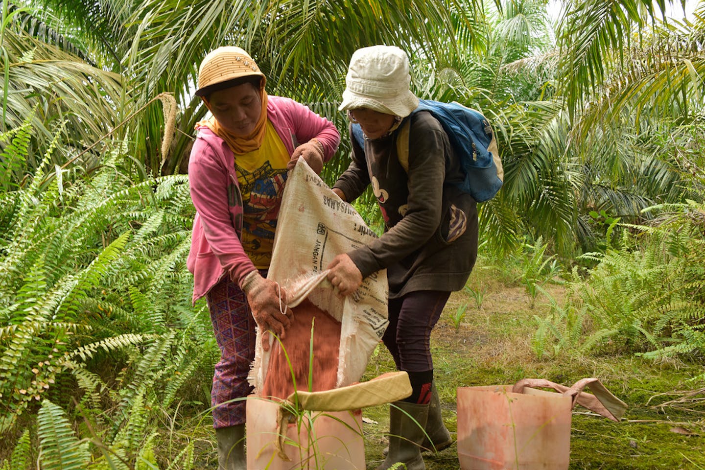 women workers palm oil