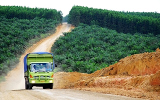 oil palm indonesia2