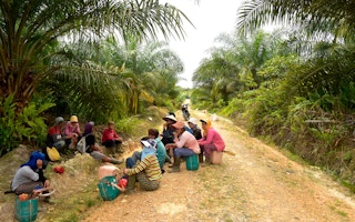 palm oil workers indonesia