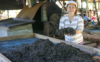 green tea smallholder development in Lao PDR