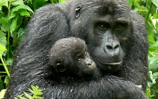 mother holds child in Congo
