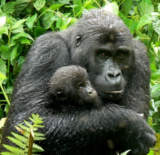 mother holds child in Congo