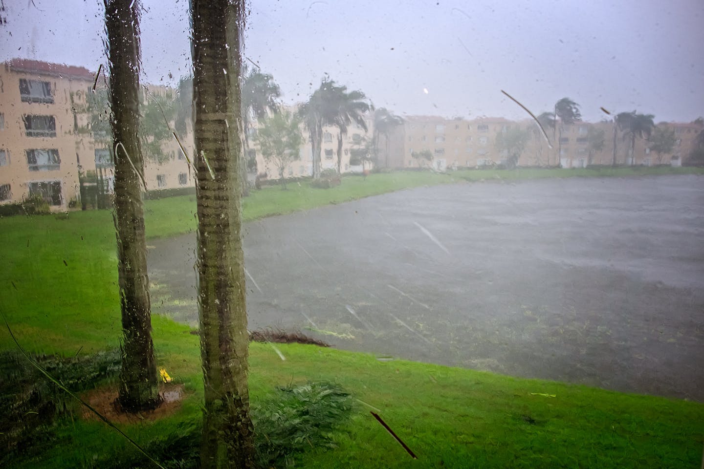 hurricane irma