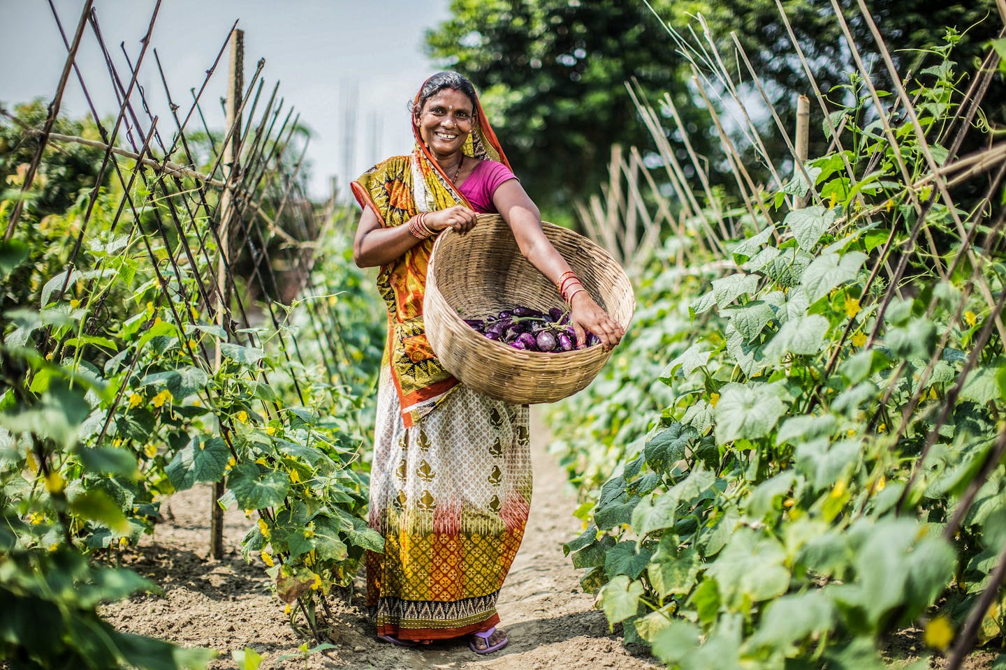happy harvest in nepal