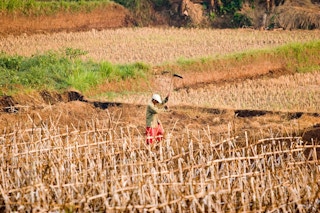 farmer drought indonesia