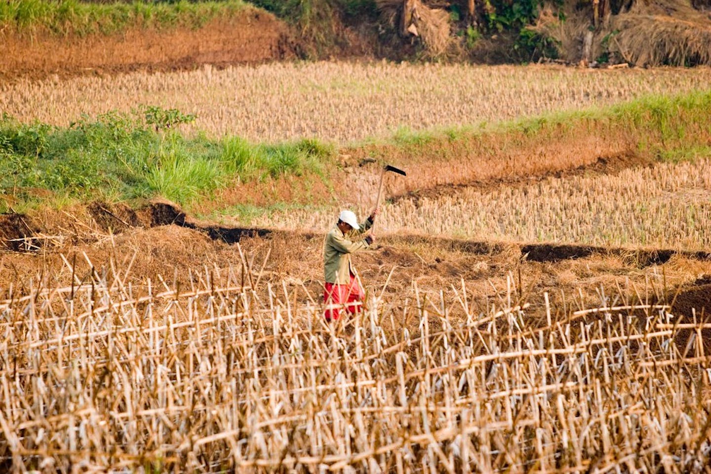 farmer drought indonesia