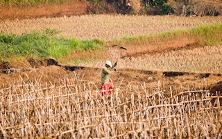 farmer in dry fields