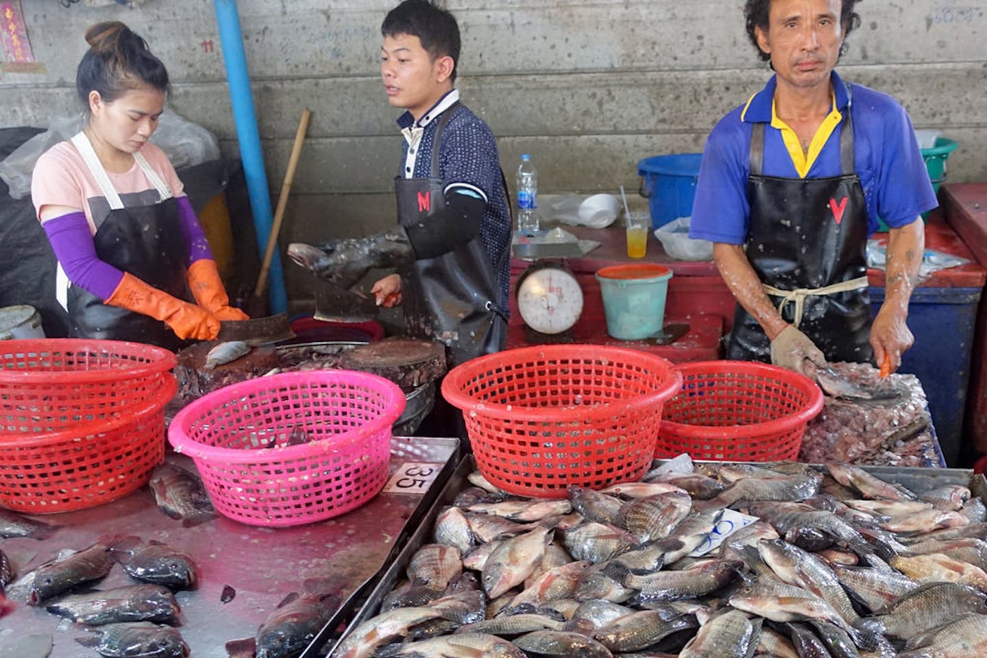 Pak Nam fish market Thailand