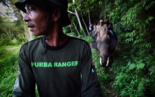 Forest patrol in Leuser Aceh Indonesia