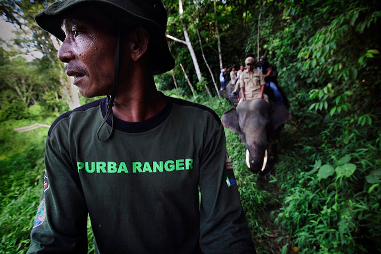 Forest patrol in Leuser Aceh Indonesia