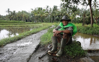 A farmer in Ubud, Bali, Indonesia sits beside his crops 