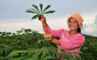 woman farmer in Cambodia
