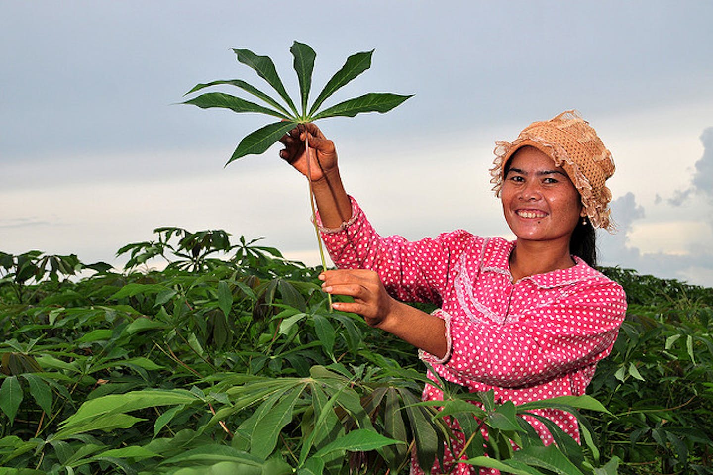 woman farmer in Cambodia